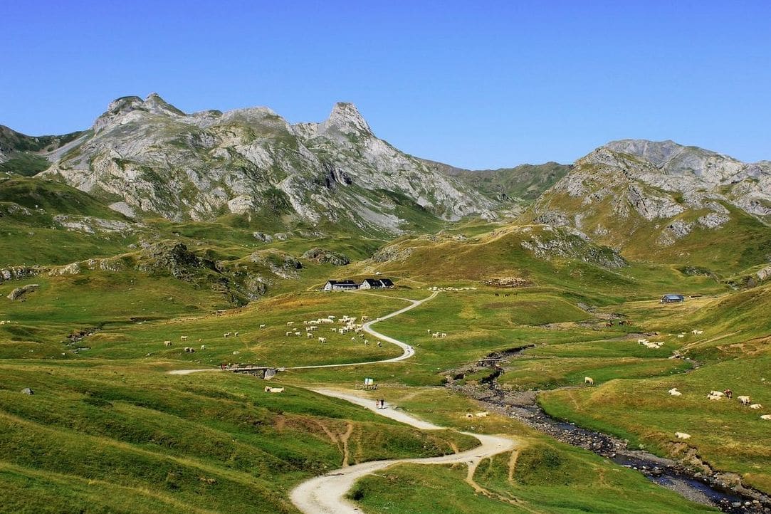 Tre abitudini semplici per non perdere il francese tra una lezione e l'altra